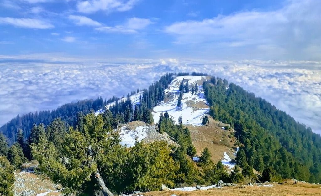 Mushkpuri top full view