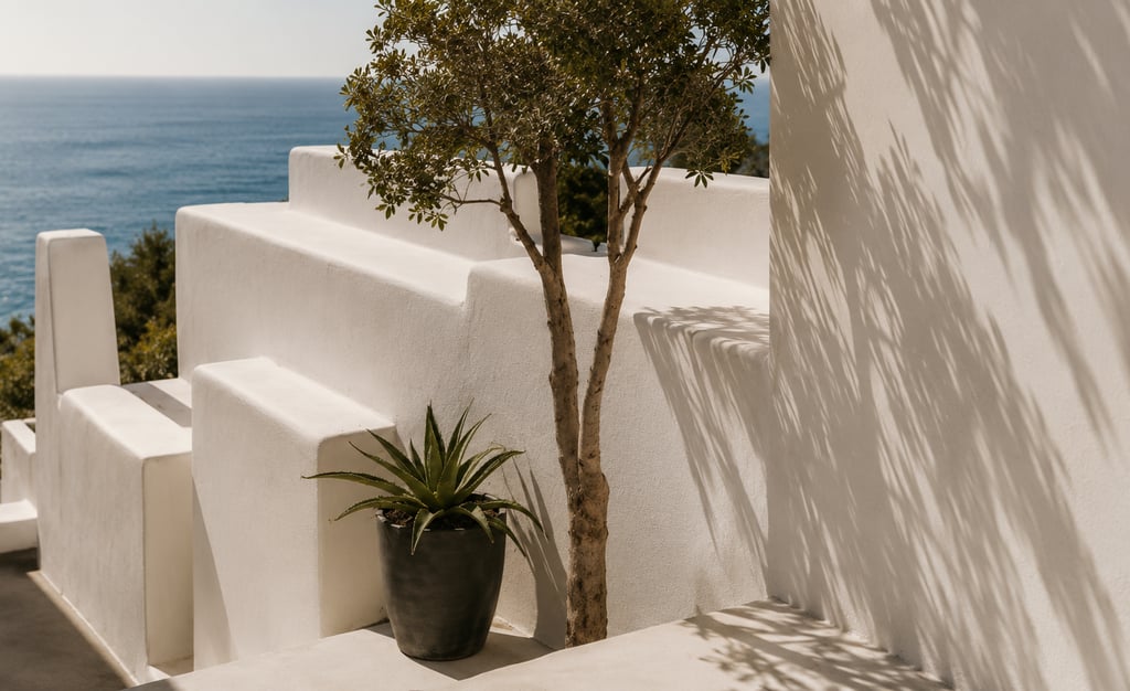Minimalist white Mediterranean architecture featuring an agave plant and tree with ocean views.