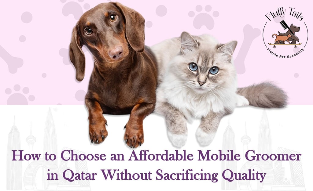 Affordable Mobile Pet Grooming in Doha: How to Choose Quality