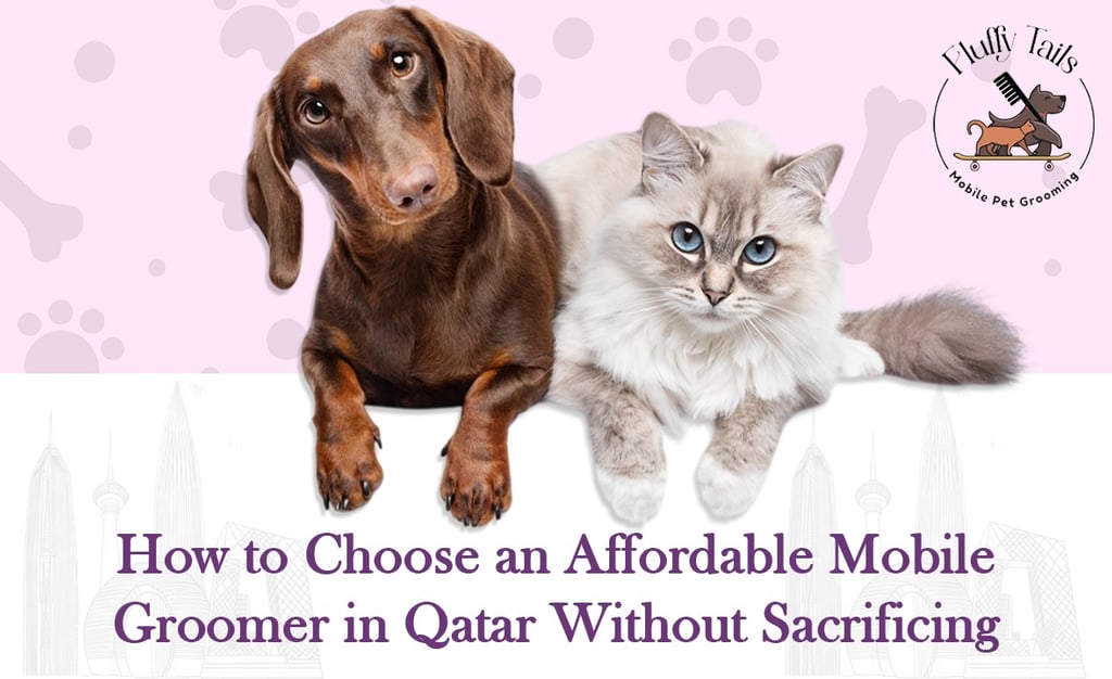 Affordable Mobile Pet Grooming in Doha How to Choose Quality