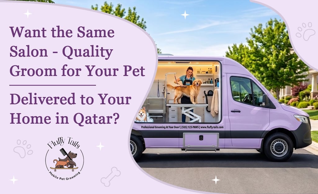 Salon-Quality Mobile Pet Grooming at Home in Qatar  Fluffy Tails Doha
