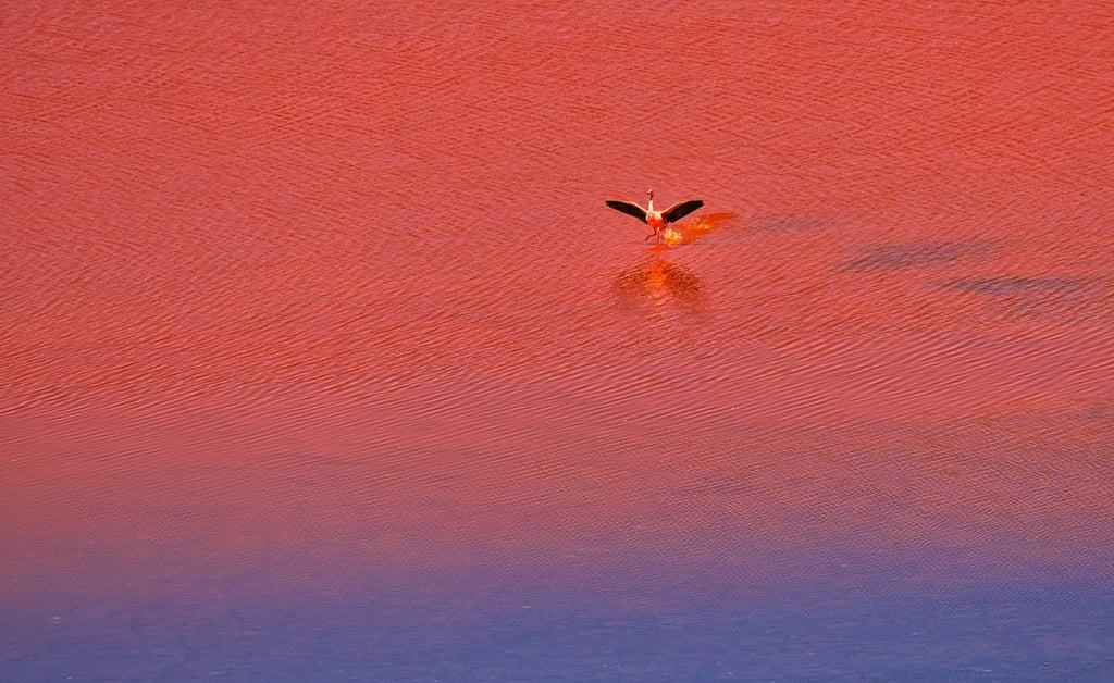 Classic Uyuni Salt Flat & Sky Mirror Tours — 3 to 6 Days