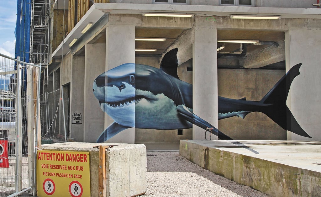 ANAMORPHOSE REQUIN