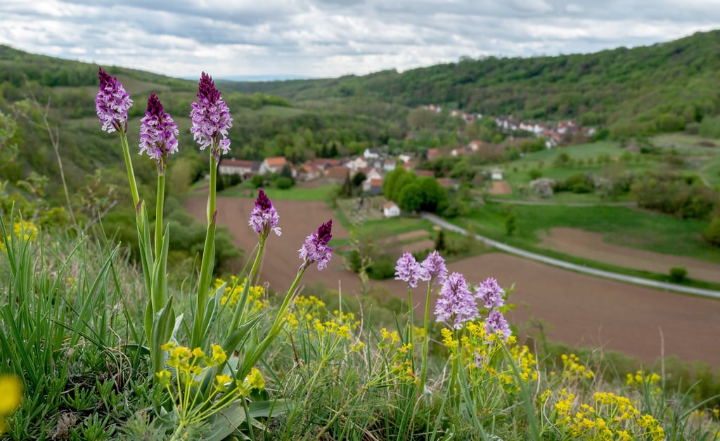 Wipperdurchbruch bei Günserode in Nordthüringen,