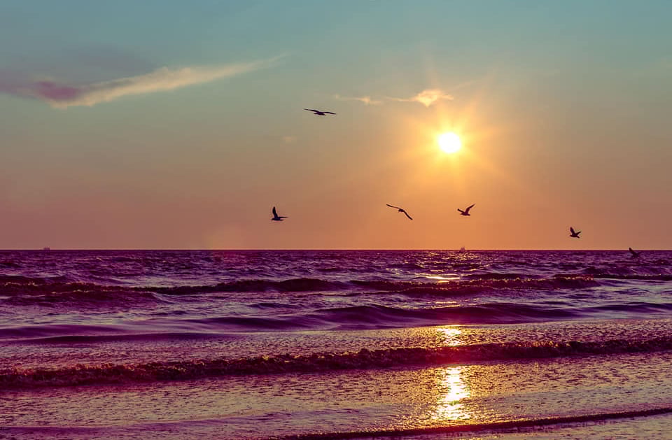sunset