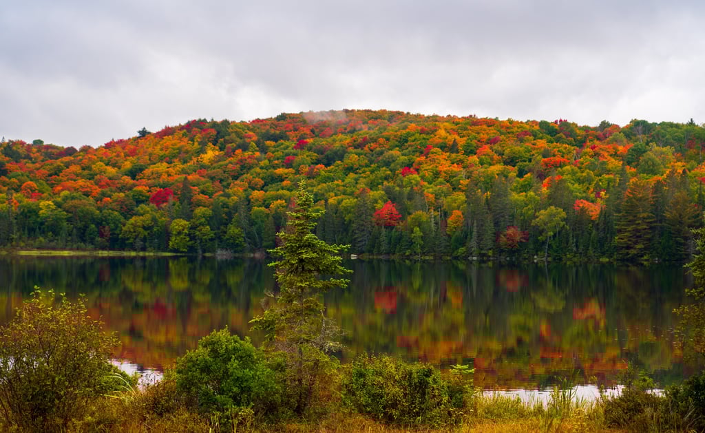 An Autumn scene with a lake and trees