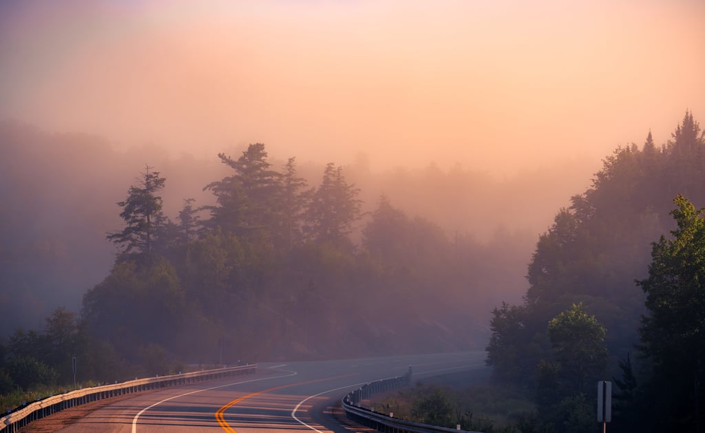 a road with a winding road and trees in the background