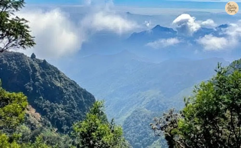 Scenic view of Cap’s Fly Valley in Kodaikanal.