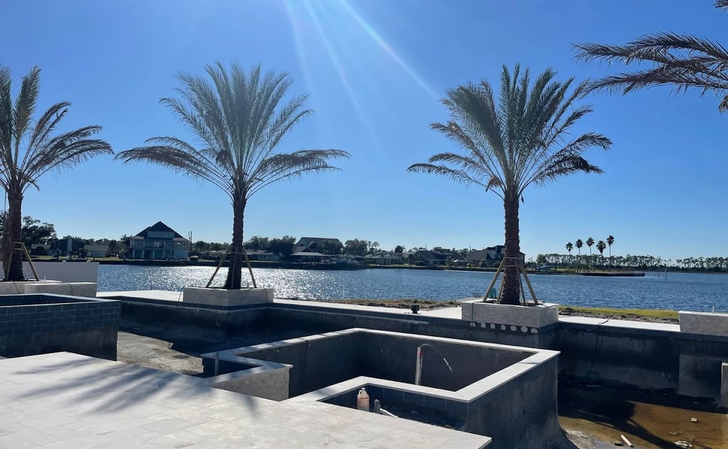 large medjool palm tree installation