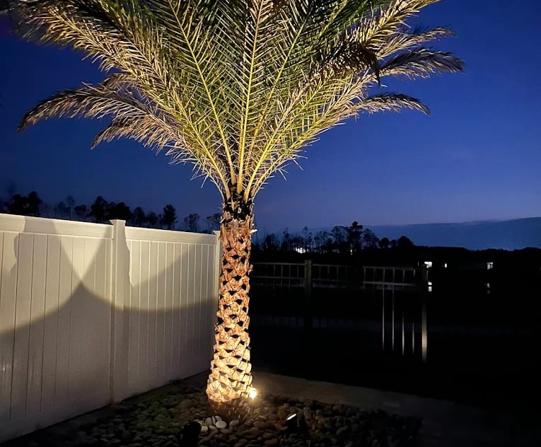 A tall palm tree illuminated by warm landscape uplighting in a backyard at night.