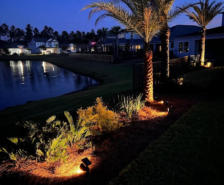 Low voltage landscape lighting illuminates palm trees and garden beds at night by a lakeside home.