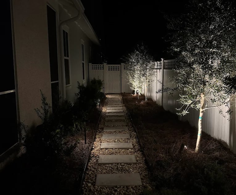 Outdoor pathway lighting illuminates a stone paver walkway and garden trees at night.