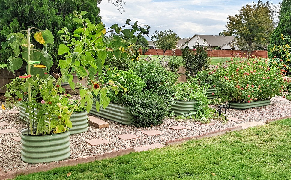 multiple plants in garden beds with good drainage