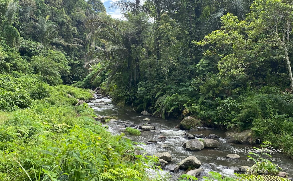 Hulu Sungai Ayung, Desa Belok/Sidan