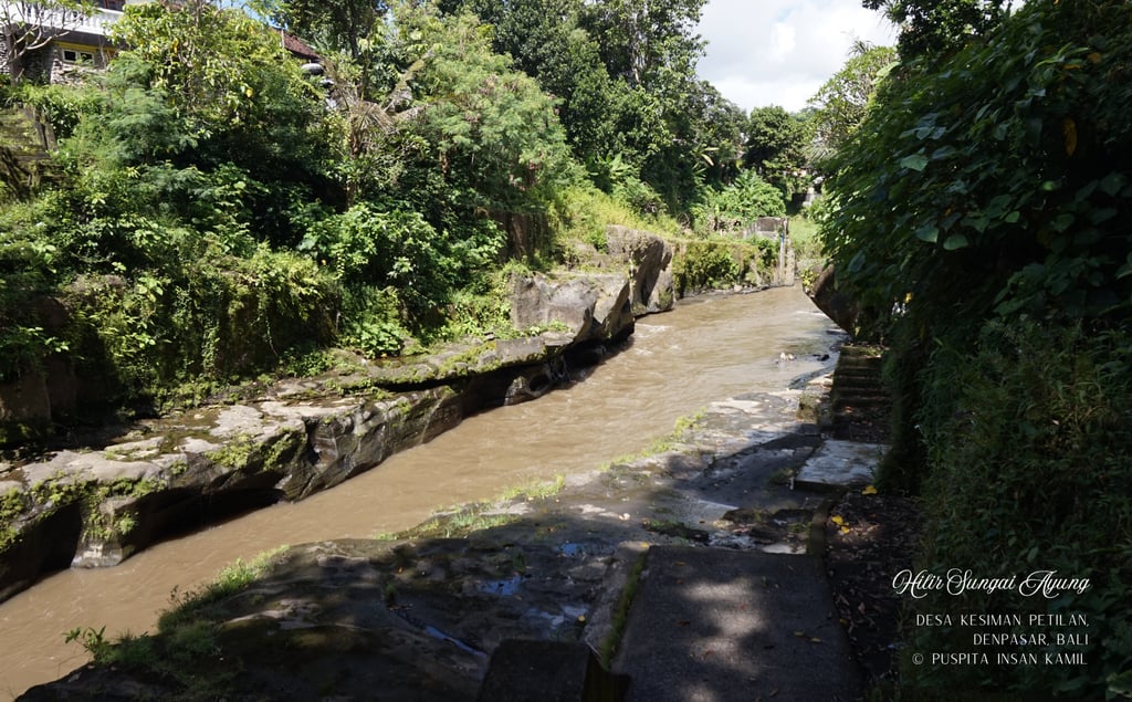 Hilir Sungai Ayung, Desa Kesiman Petilan