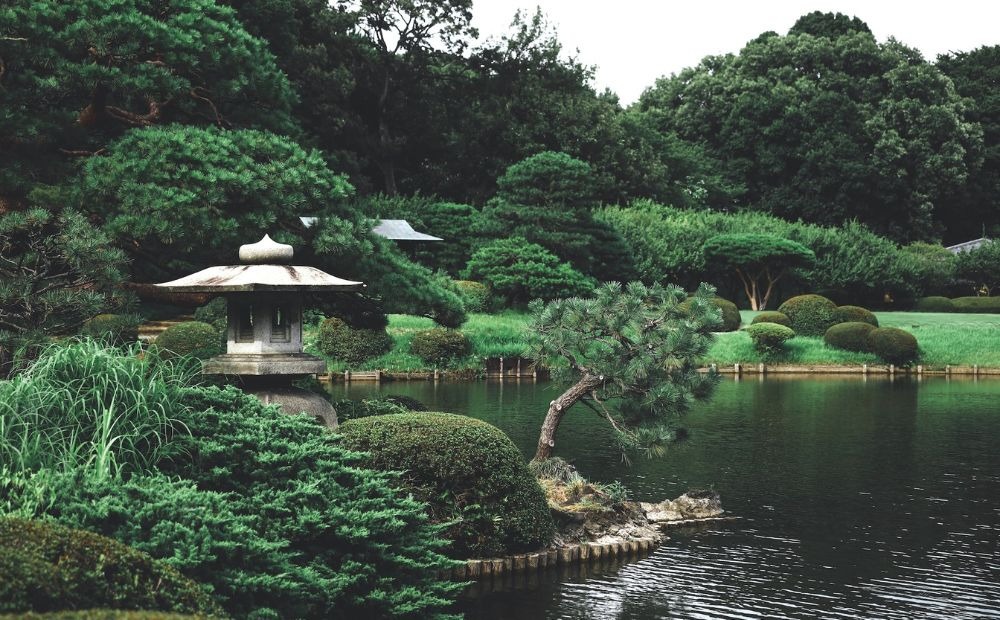 a Japanese garden with low maintenance plants