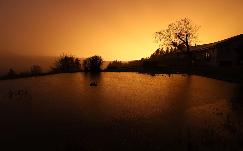 Etang avec coucher de soleil