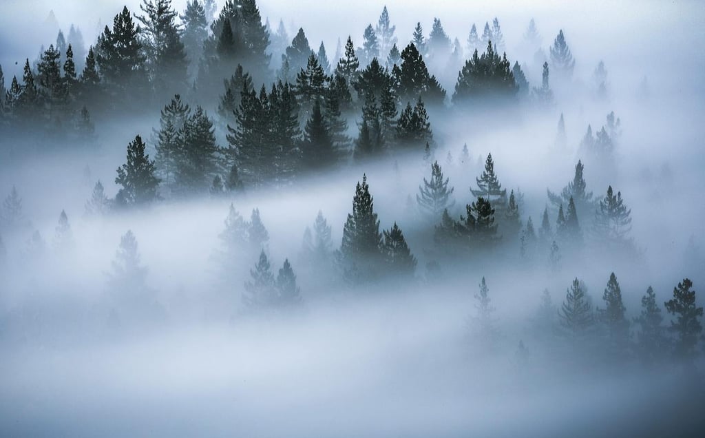 Photography and Mindfulness: How Capturing Moments Can Calm the Chaos of Modern Life