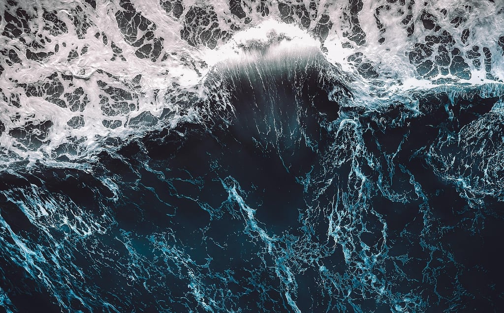 The Future of Clean Oceans: How Technology and Ecology Will Save Our Seas