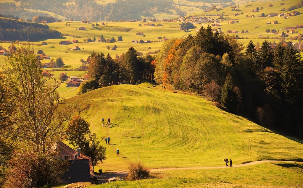 Walking Into Wellness: How Nature Heals the Mind, Body, and Soul