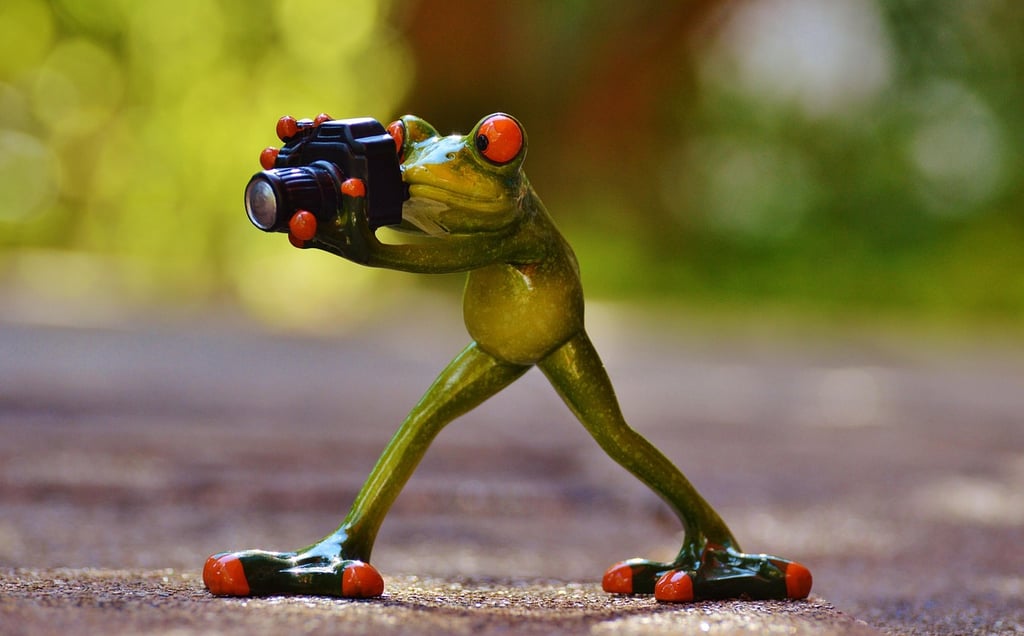 How to Build a Daily Photography Habit That Sparks Creativity: A Complete Guide for Every Photograph