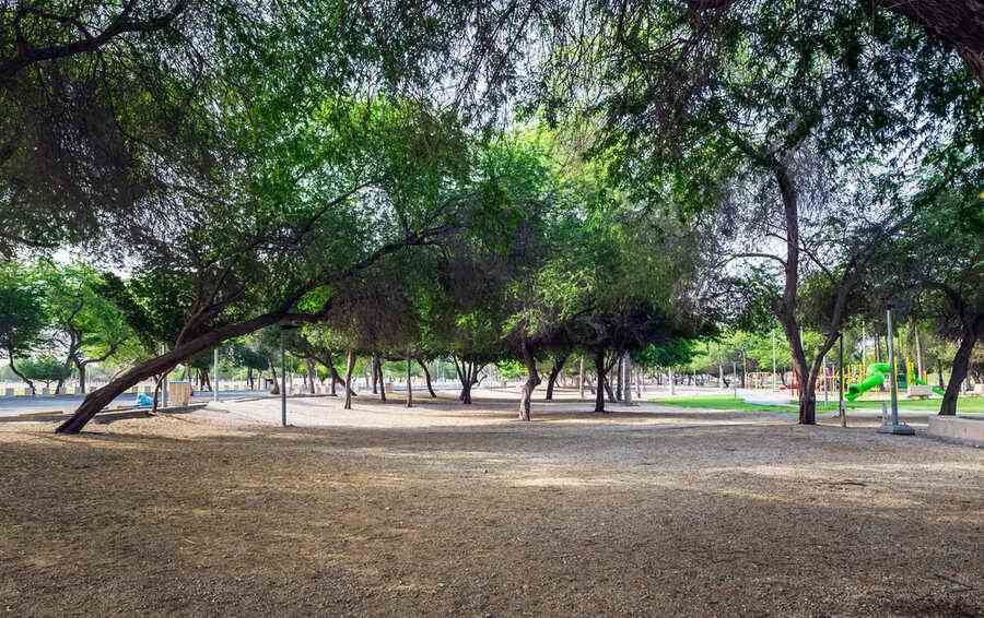 deffi-park-green-space