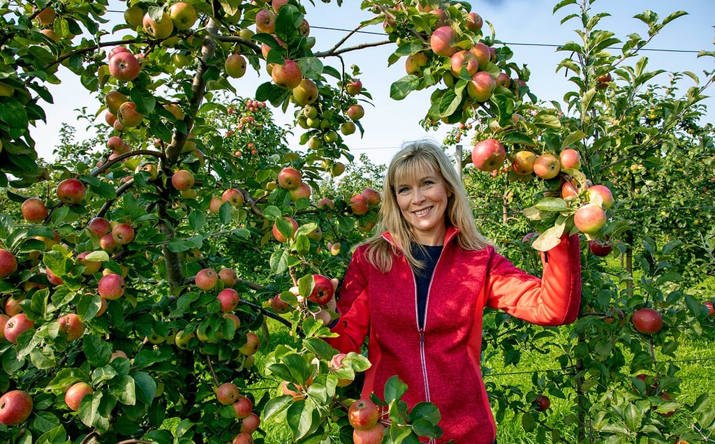 Kodused õunad ja Ille Kasvand