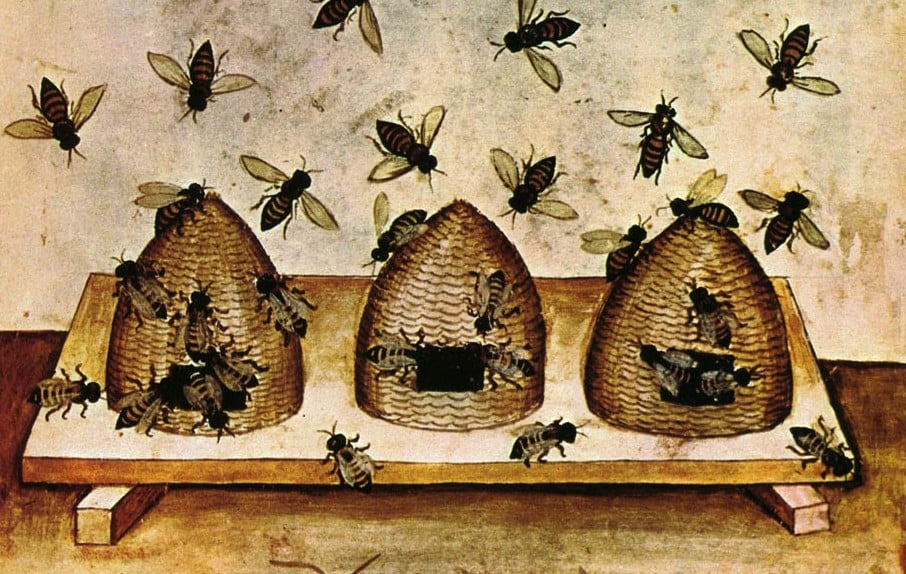Medieval manuscript illustration of honeybees swarming around three traditional straw skep beehives.