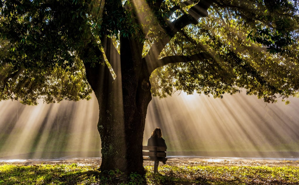 a person sitting on a bench in the sun alone