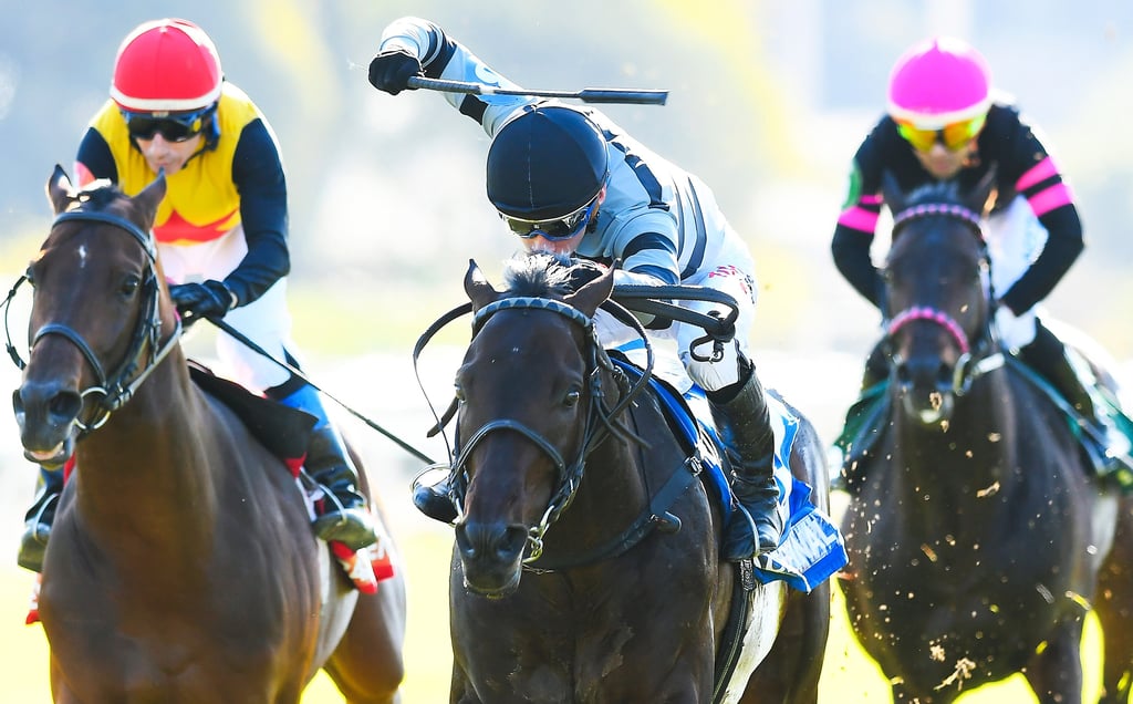 Acento Final. Foto Juan Ignacio Bozzello