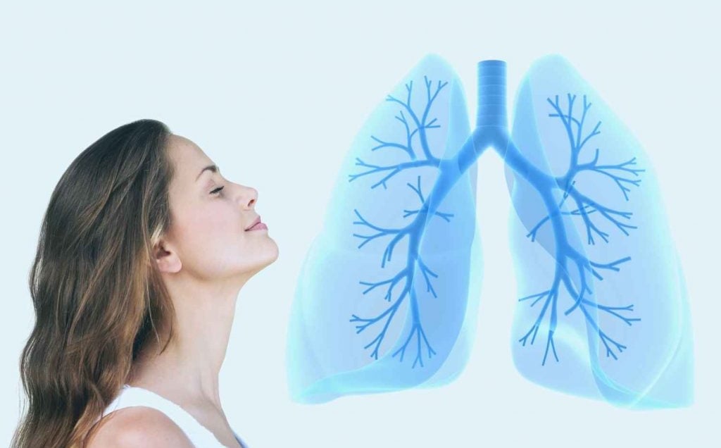 terapia respiratoria ejercicios ejercicios de terapia respiratoria ejercicios pulmonares fisio 