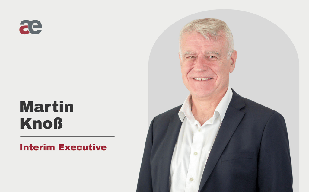Executive interim management
