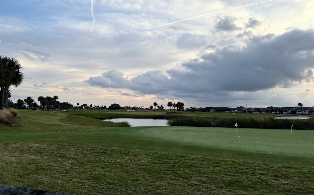 Peaceful daytime view of a golf course in The Villages with water, palms, and wide open greens