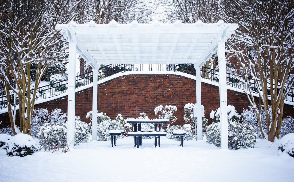 Patio, pergola, table, and landscaping covered in snow