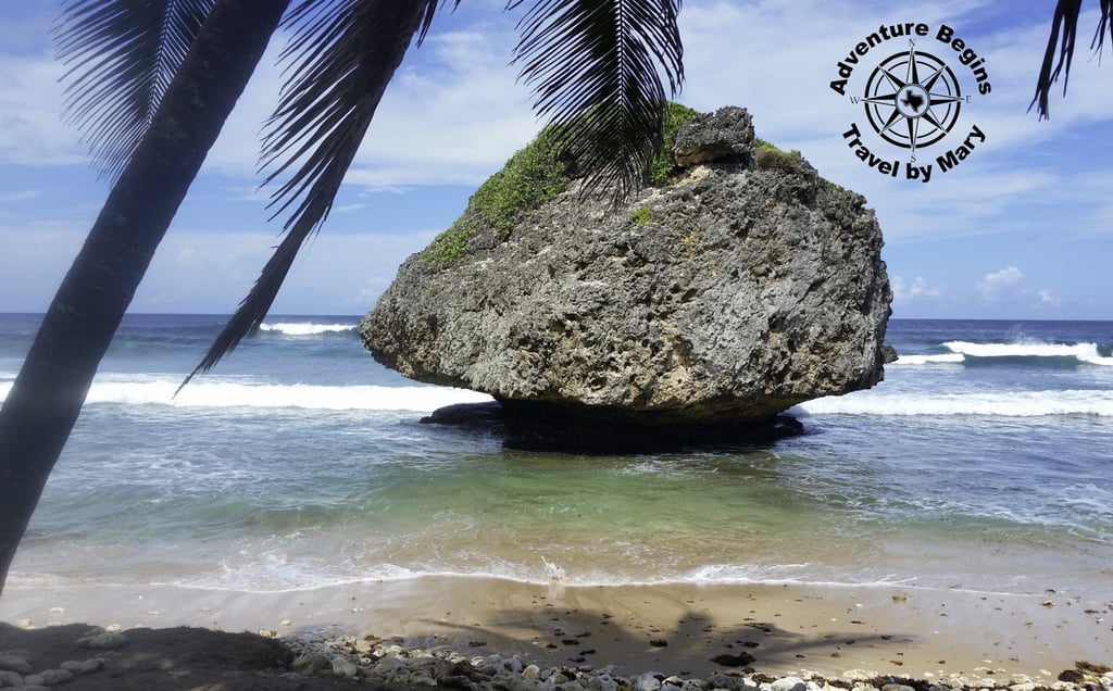 A photo of a Bathsheba Rock on Barbados taken by Mary Morong.