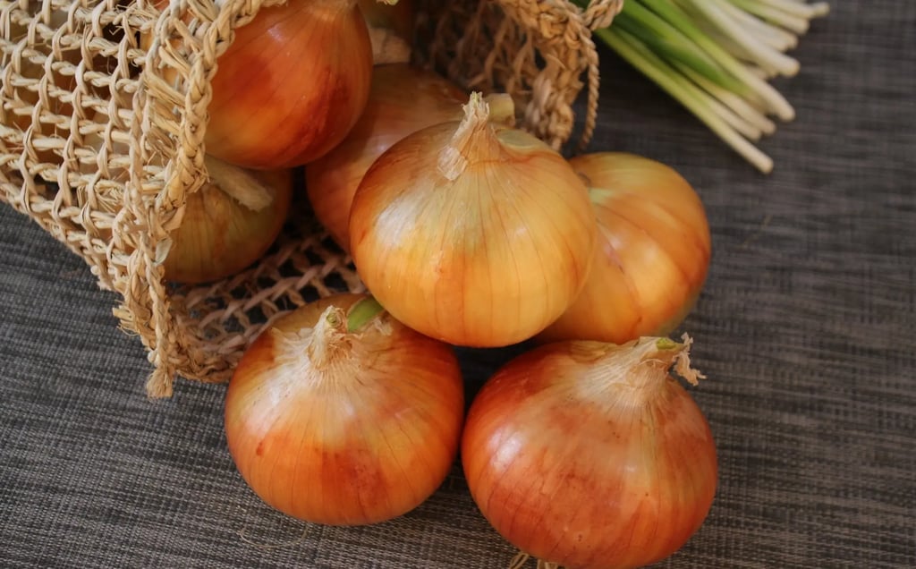 Les oignons. Une saveur qui accompagne beaucoup de vos recettes.