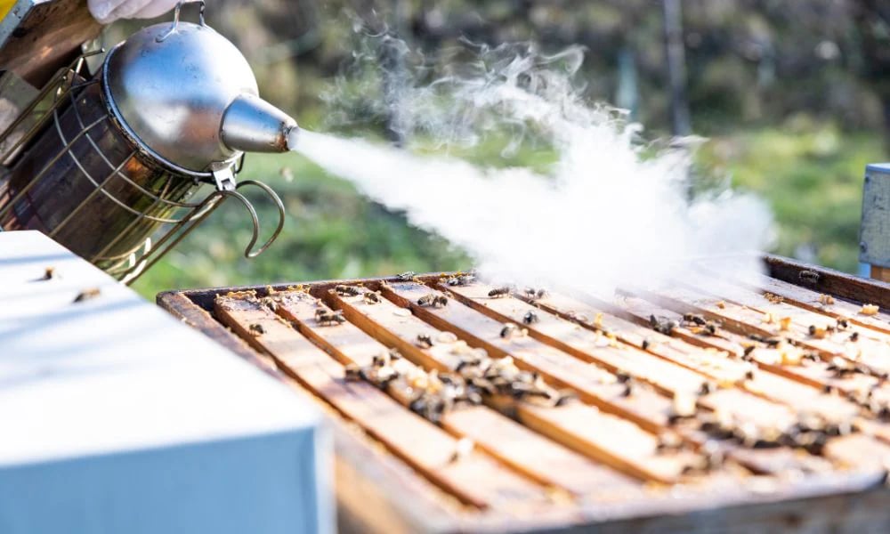 Der Smoker: Ein zentrales Werkzeug für ruhige und sichere Bienenarbeit