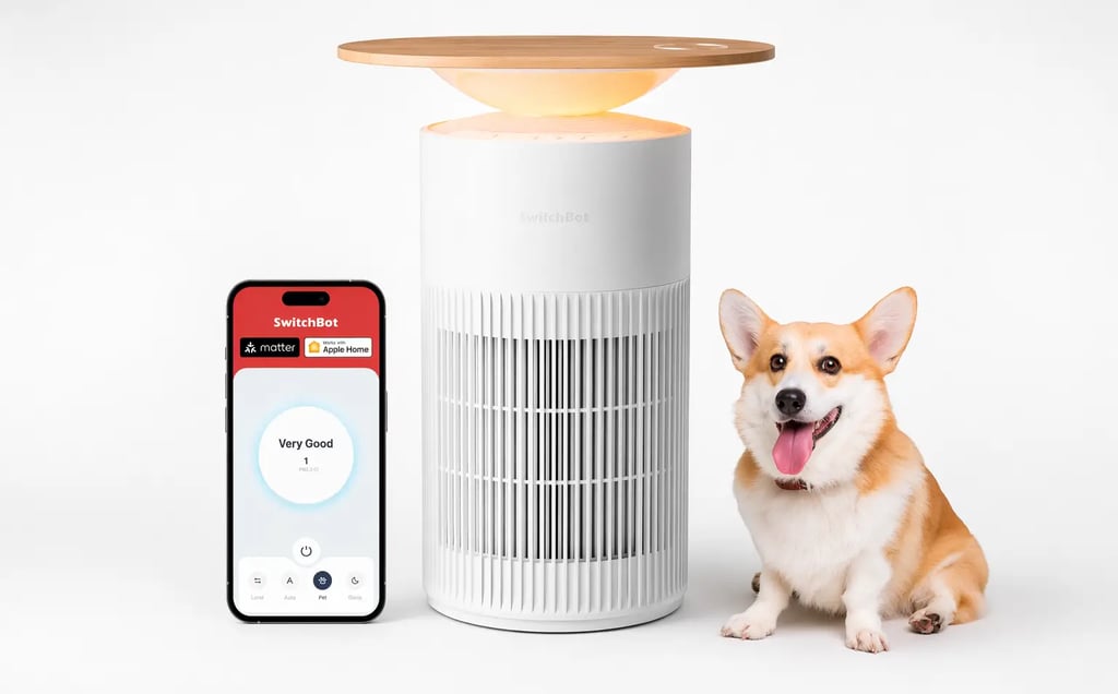 Mesa purificadora de ar