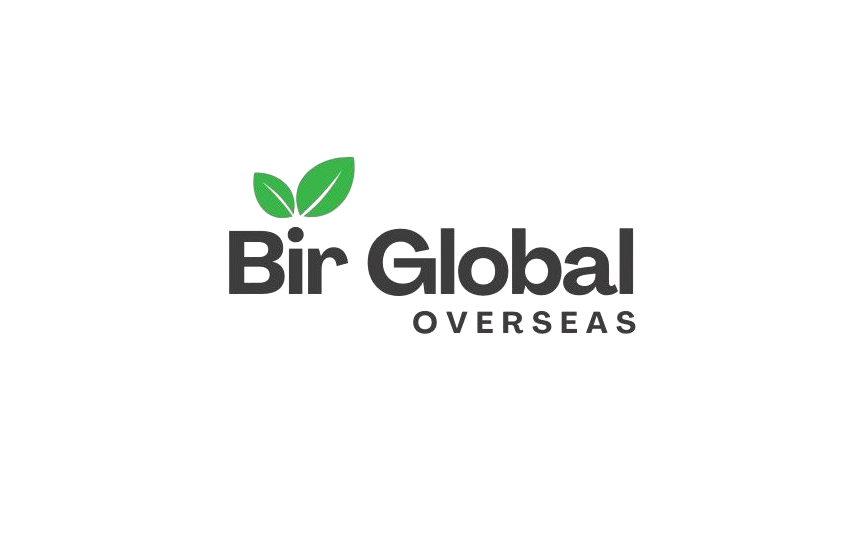 Bir Global Group