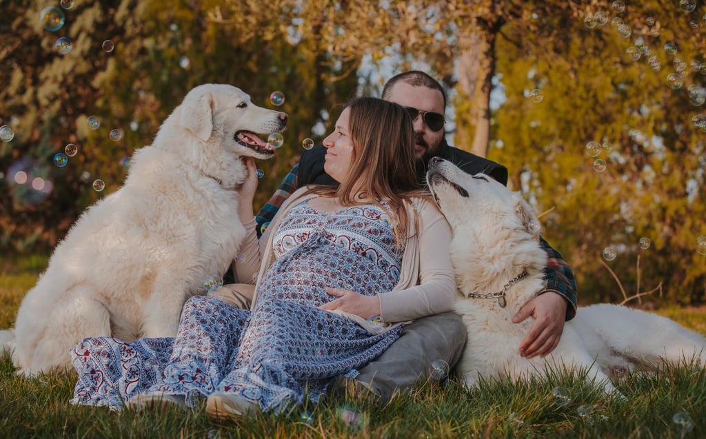 famiglia con donna incinta e due cani sul prato