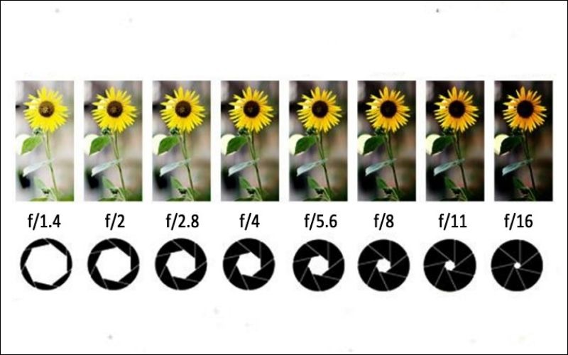 Hướng dẫn cách đọc thông số khẩu độ f stop cho người mới tập chụp ảnh