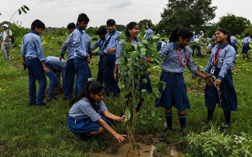 Best tree plantation agency