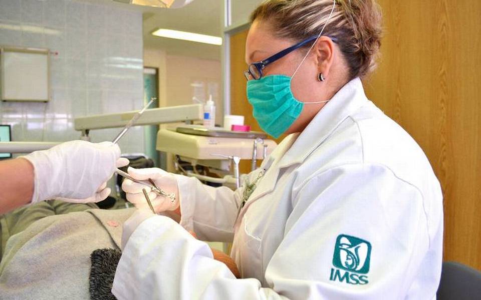 Estomatólogo IMSS Bolsa de Trabajo IMSS Vacantes IMSS Empleos IMSS Trabajar en el IMSS