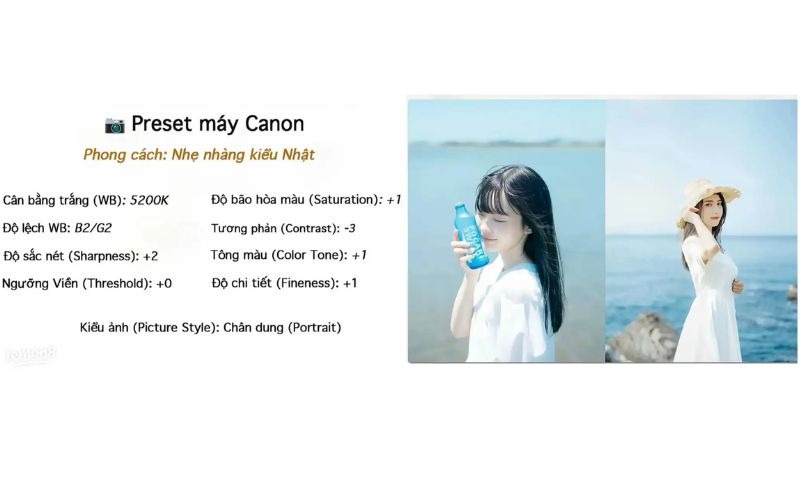 Phong cách Nhẹ nhàng tone lạnh