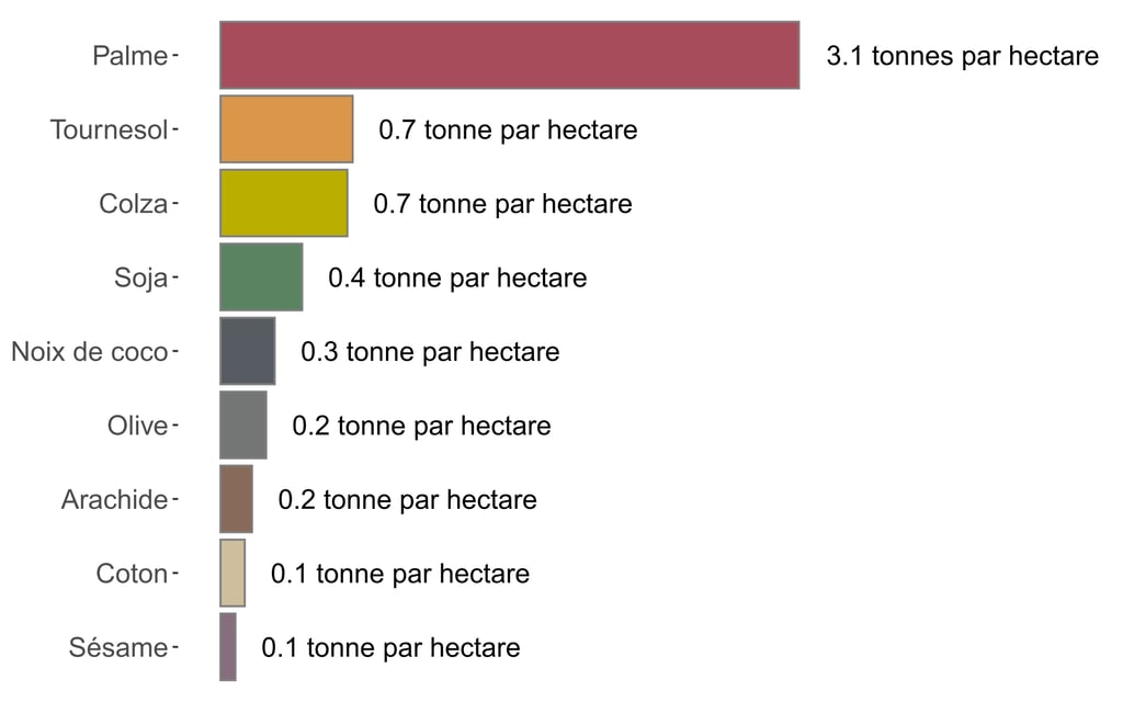 Comparaison des rendements de différentes cultures de production d’huile, dont le palmier à huile