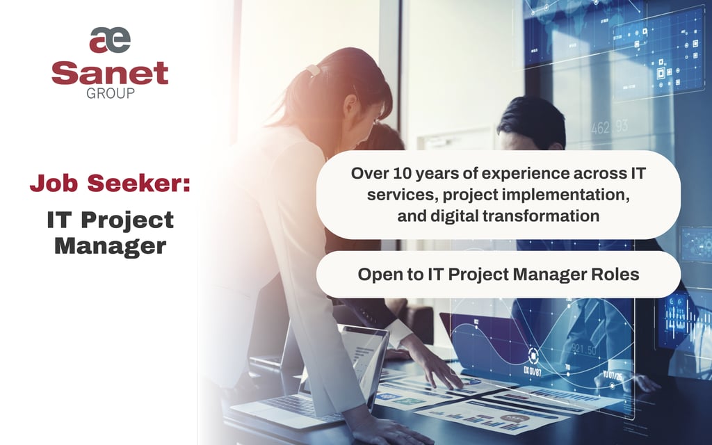 IT Project Manager