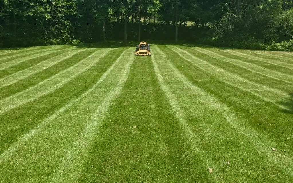 Freshly-cut lawn on a sunny day with my mower in the background.