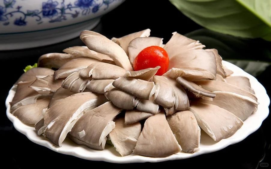  Cultivation cold room & cold chamber