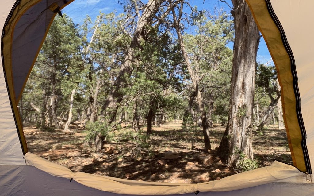 Grand Canyon forest view looking out tent door
