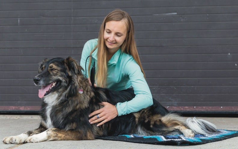 Hundeakupunktur mit Akupunkturlaser